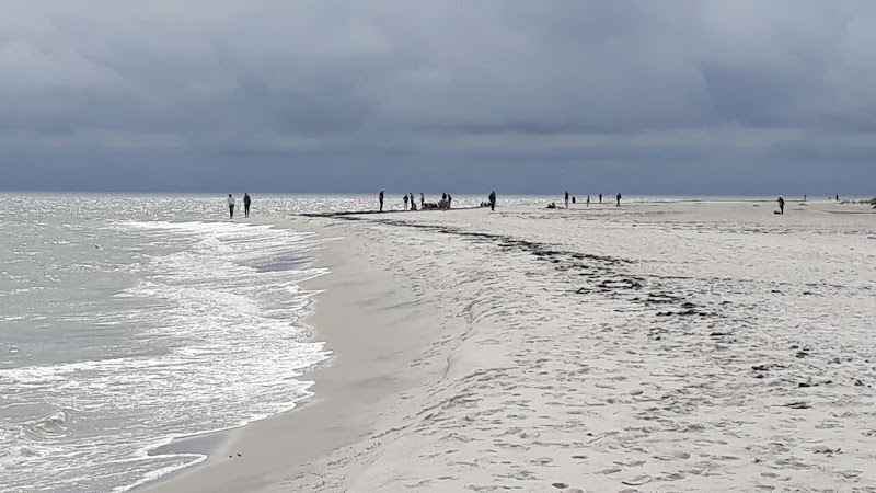 Sandy Shores of Dueodde - Dueodde