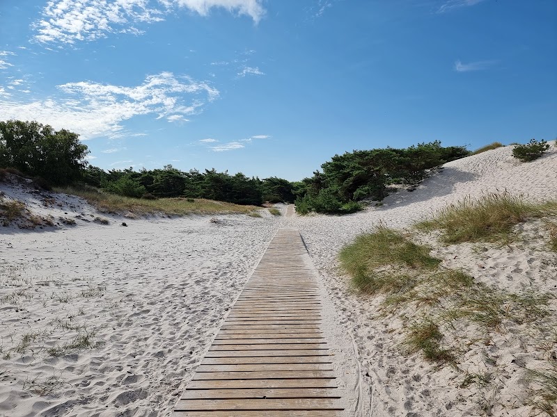 Sandy Shores of Dueodde - Dueodde