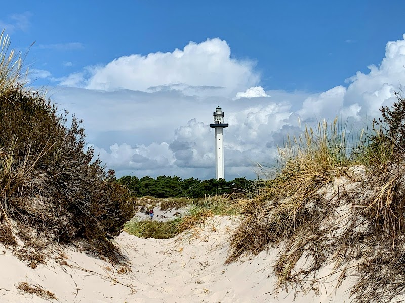 Sandy Shores of Dueodde - Dueodde