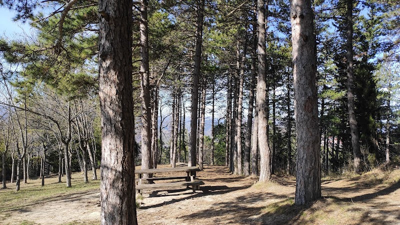 Discovering the Tranquil Beauty of Parco di Montecchio - Parco di Montecchio