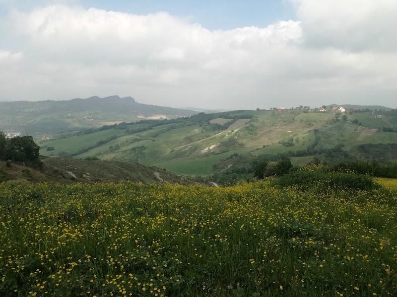 Rolling Hills of Acquaviva - Acquaviva