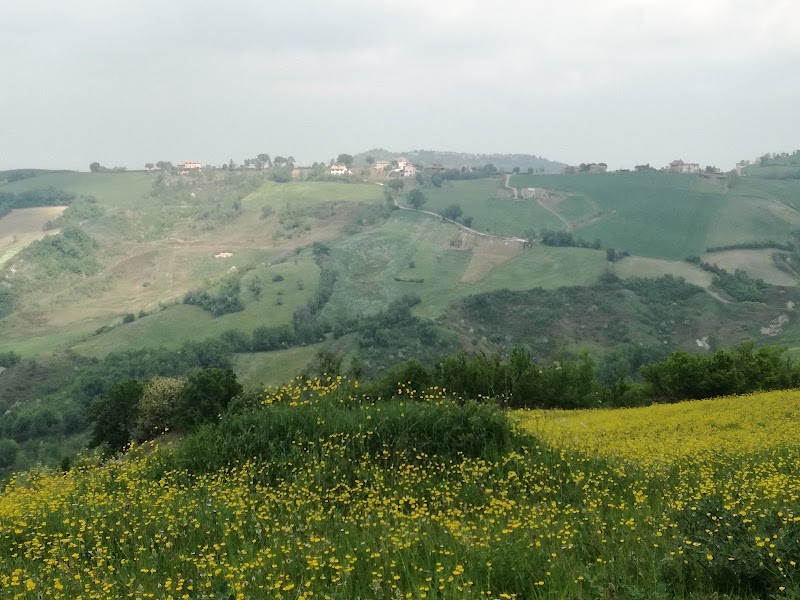 Rolling Hills of Acquaviva - Acquaviva