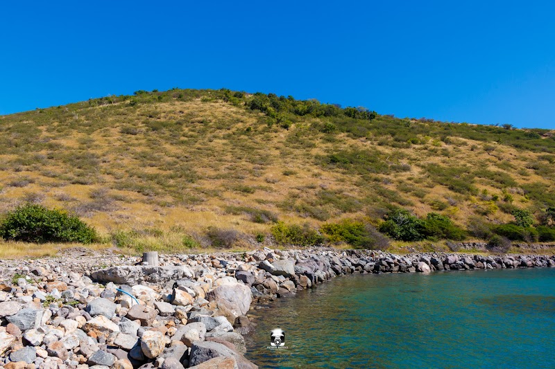 Majors Bay's Coastal Beauty - Majors Bay