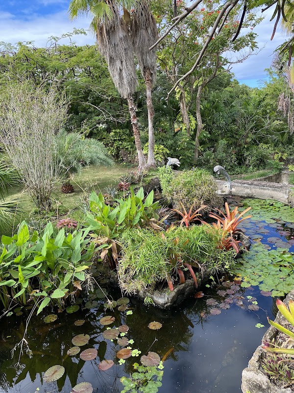 Botanical Wonders of Nevis - Botanical Gardens of Nevis