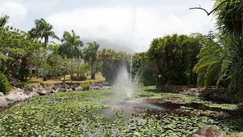 Botanical Wonders of Nevis - Botanical Gardens of Nevis