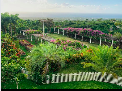 Botanical Wonders of Nevis - Botanical Gardens of Nevis