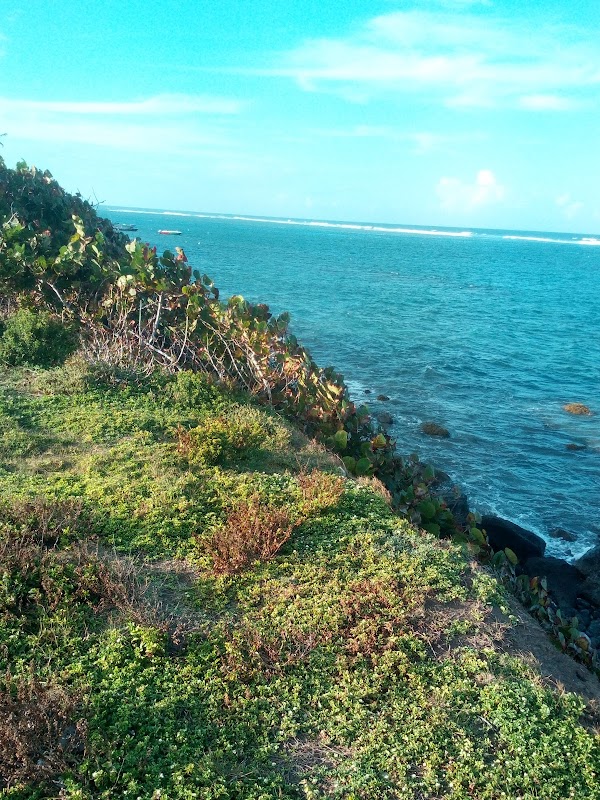 Coastal Charm at Dieppe Bay Town - Dieppe Bay Town