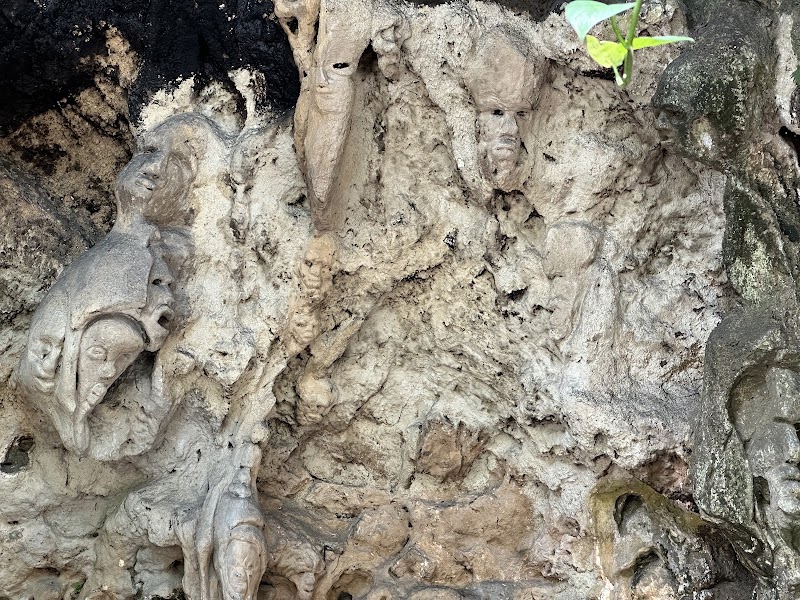 Fern Gully: Nature's Green Tunnel in Ocho Rios - Fern Gully