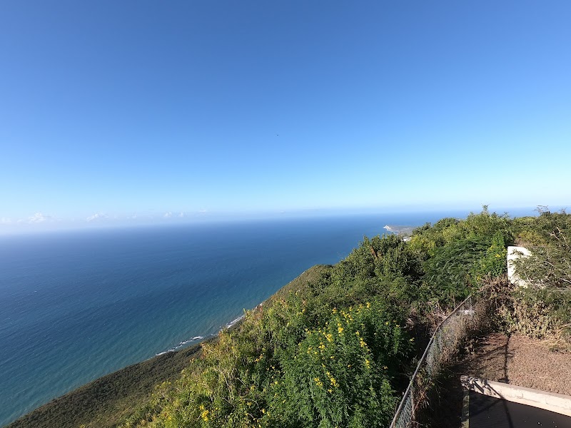 Majestic Cliffs of Lovers Leap, Jamaica - Lovers Leap