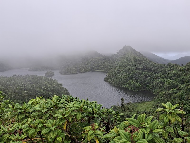 Tranquil Waters: Freshwater Lake - Freshwater Lake
