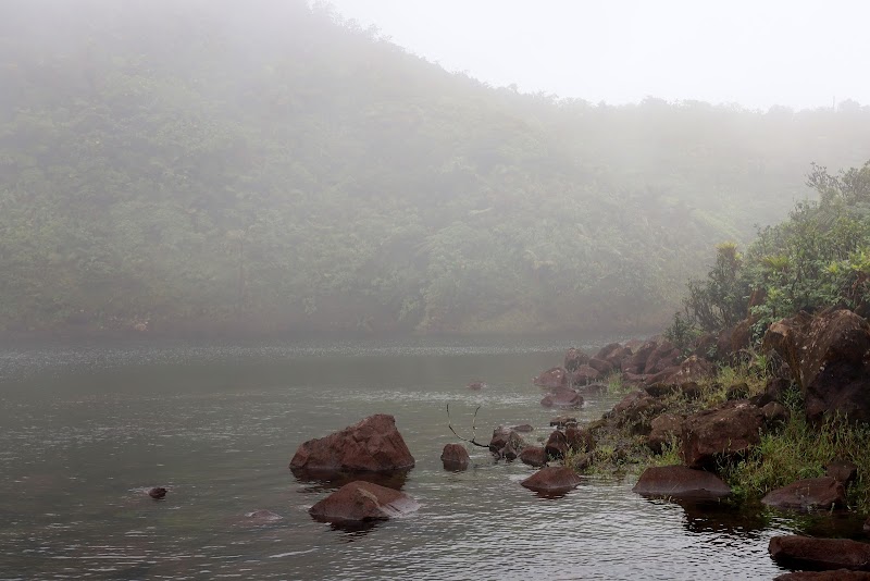 Tranquil Waters: Freshwater Lake - Freshwater Lake