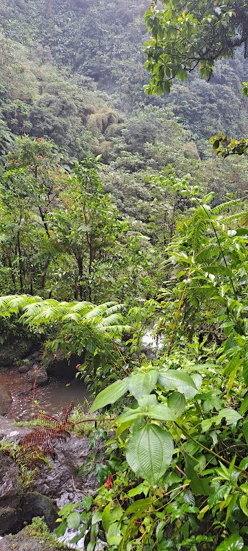 Waterfall Wonders of Dominica - Papillote Tropical Gardens