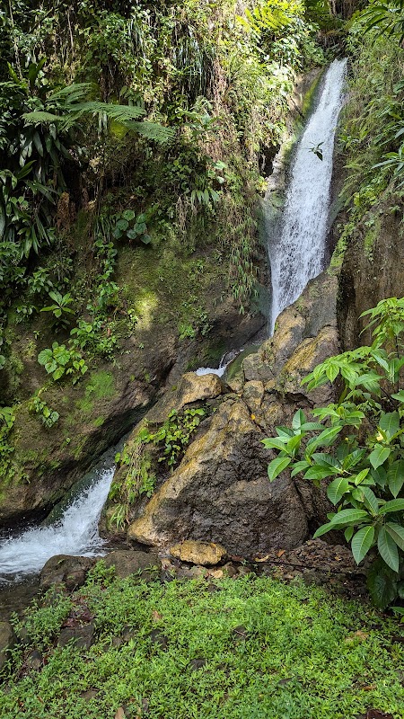 Waterfall Wonders of Dominica - Papillote Tropical Gardens