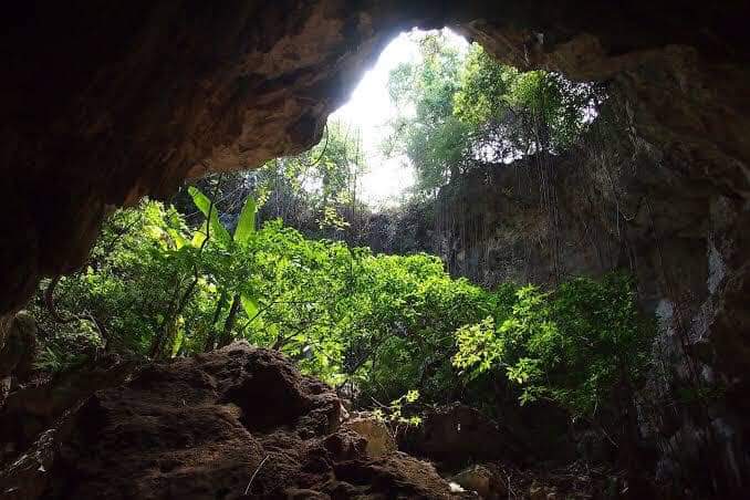 Subterranean Wonders: Cave Grotte Marie-Jeanne - Cave Grotte Marie-Jeanne