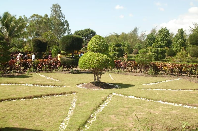 Discover the Lush Beauty of Cayes Botanical Garden - Cayes Botanical Garden