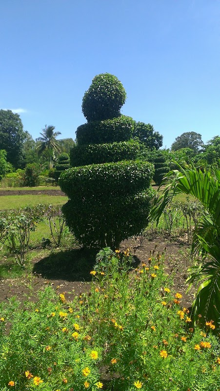 Discover the Lush Beauty of Cayes Botanical Garden - Cayes Botanical Garden