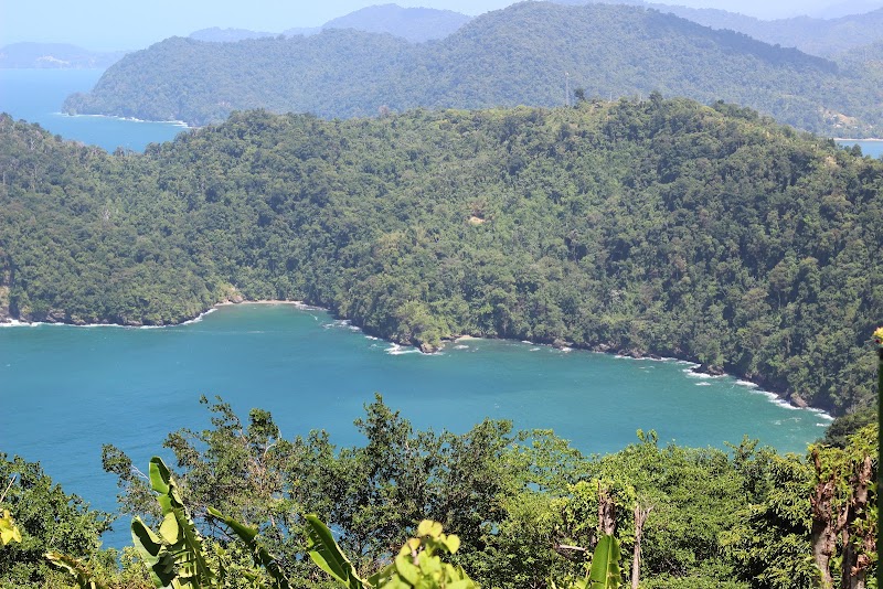 Tropical Bliss at Maracas Beach - Maracas Beach