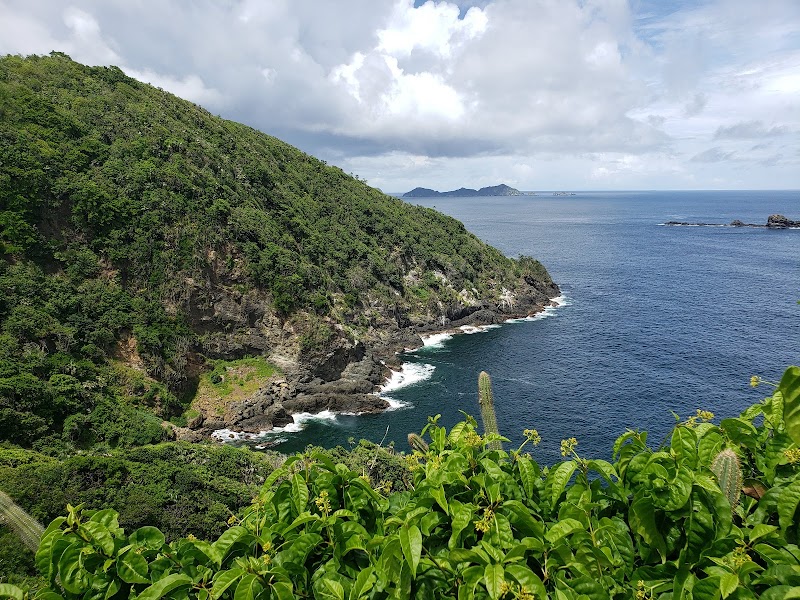 A Tropical Haven: Little Tobago - Little Tobago