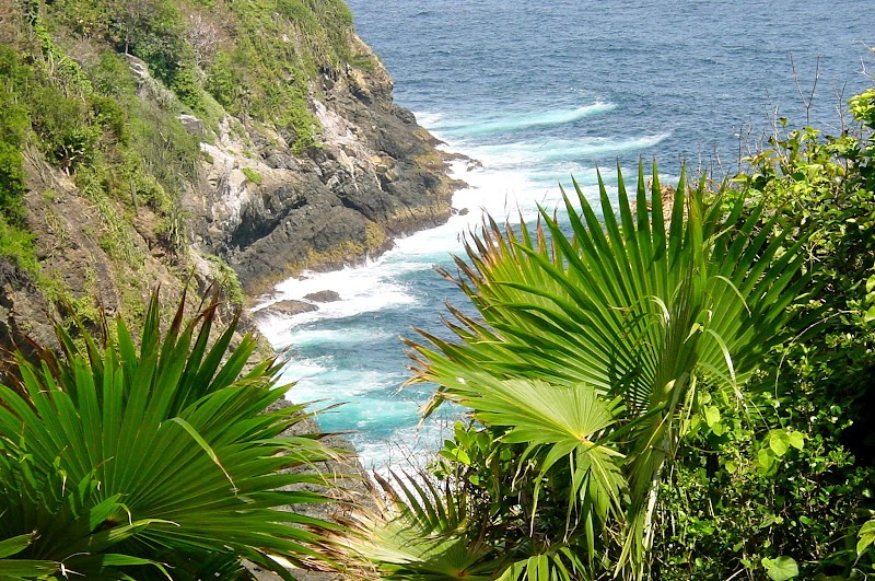 A Tropical Haven: Little Tobago - Little Tobago