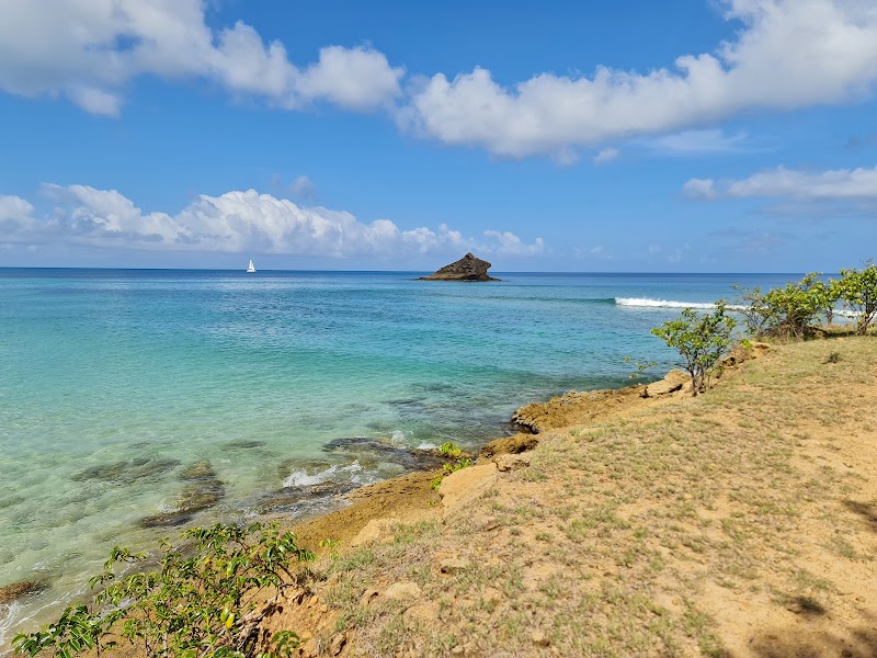 Hawksbill Bay: Serene Waters of Antigua - Hawksbill Bay