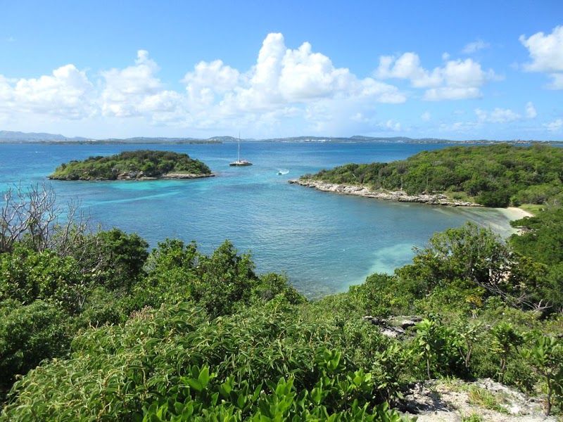 Paradise Awaits at Great Bird Island - Great Bird Island