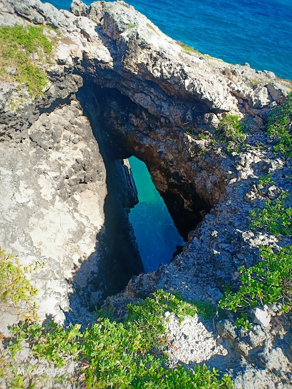 Paradise Awaits at Great Bird Island - Great Bird Island