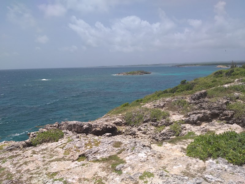 Paradise Awaits at Great Bird Island - Great Bird Island