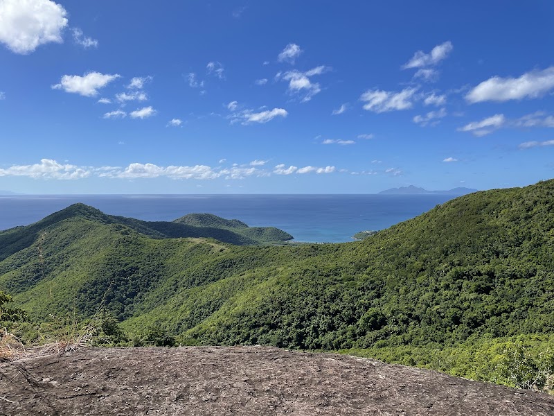 Nature's Tranquil Gem: Wallings Nature Reserve - Wallings Nature Reserve