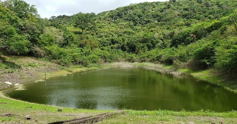 Nature's Tranquil Gem: Wallings Nature Reserve - Wallings Nature Reserve