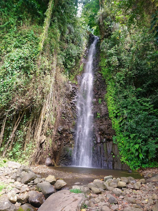 Cascading Beauty: Dark View Falls - Dark View Falls