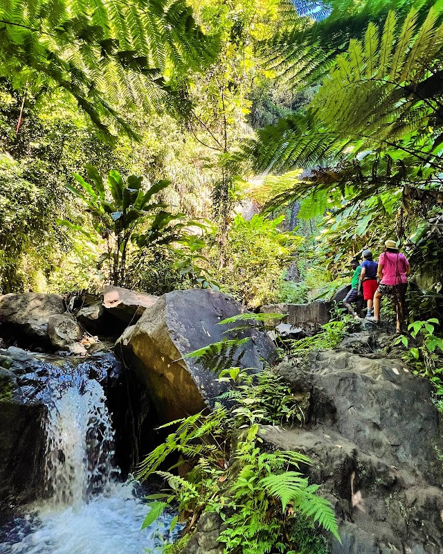 Cascading Beauty: Dark View Falls - Dark View Falls