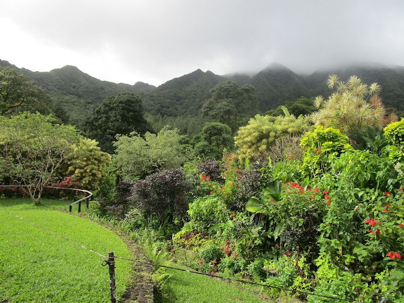 A Verdant Escape: Montreal Gardens - Montreal Gardens
