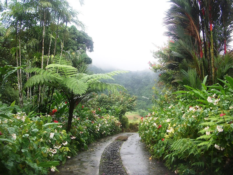 A Verdant Escape: Montreal Gardens - Montreal Gardens
