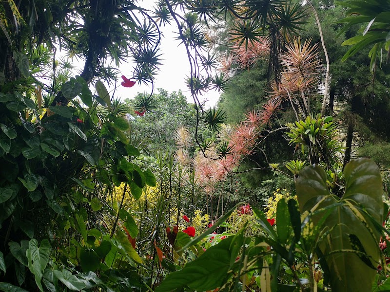 A Verdant Escape: Montreal Gardens - Montreal Gardens