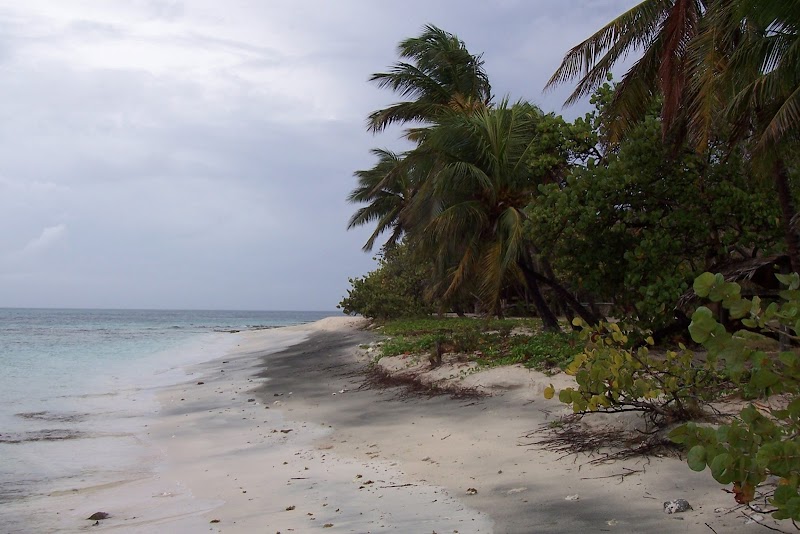 Island Retreats: Discover Petit Saint Vincent - Petit Saint Vincent
