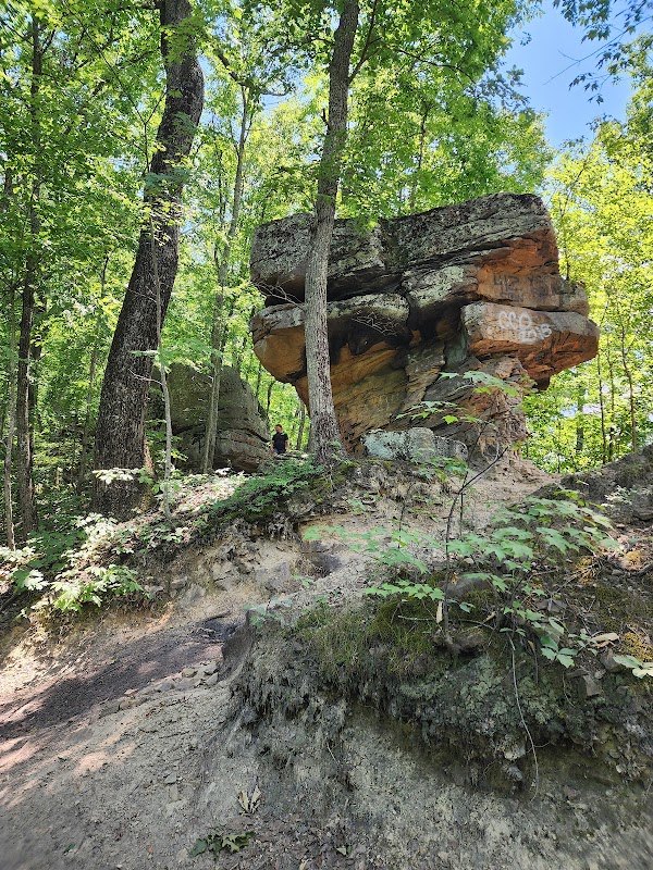 Thrills in Hatfield-McCoy Trails surrounding landscape