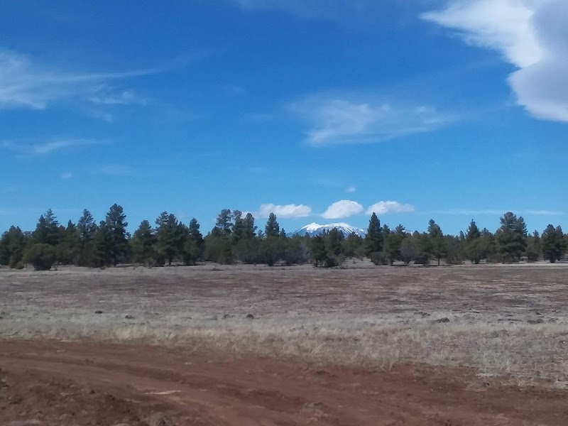 Forested Trails at Horse Lake Trailhead - Horse Lake Trailhead