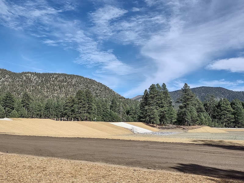 Forested Trails at Horse Lake Trailhead surrounding landscape