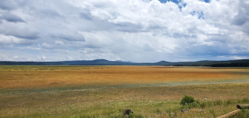 Mormon Lake Magic: Nature's Canvas in Arizona - Mormon Lake Scenic Pullout