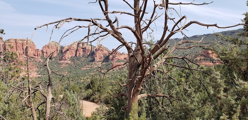 Adventure Awaits on Schnebly Hill Road - Schnebly Hill Road