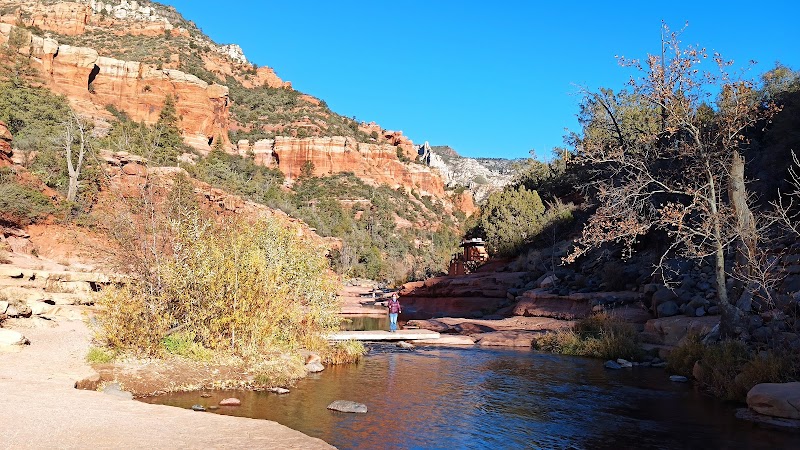 Coconino National Forest: A Natural Marvel in Northern Arizona - Coconino National Forest