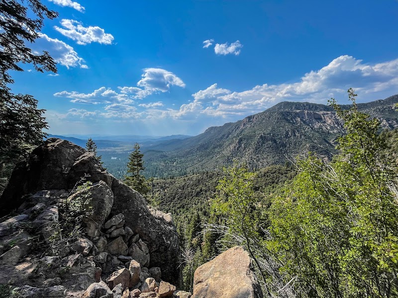 Discover the Pine Valley Mountain Wilderness: A Natural Gem outdoor detail