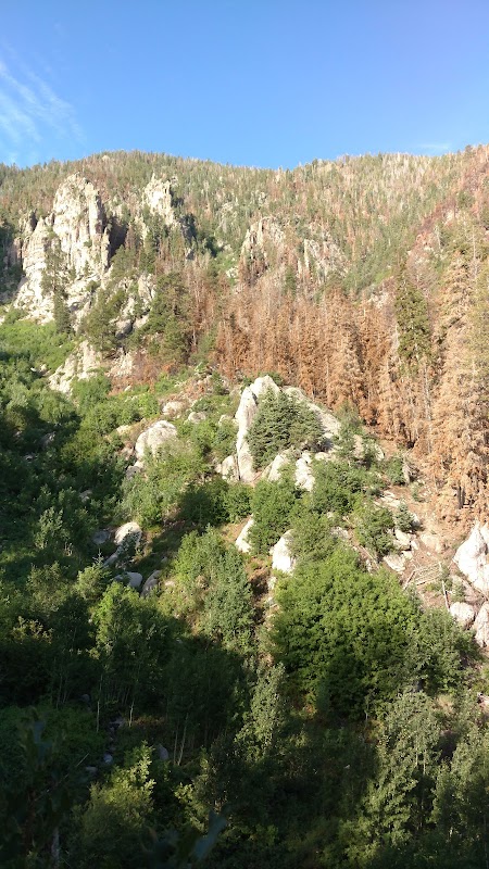 Discover the Pine Valley Mountain Wilderness: A Natural Gem surrounding landscape