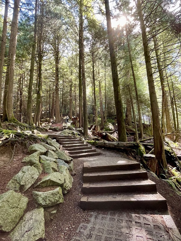 Discover the Beauty of Shannon Falls - Shannon Falls Provincial Park
