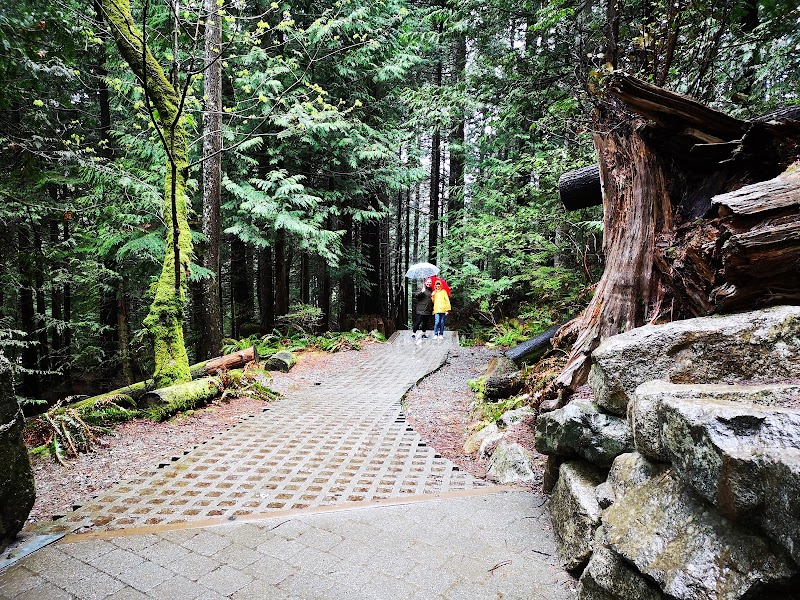 Discover the Beauty of Shannon Falls surrounding landscape