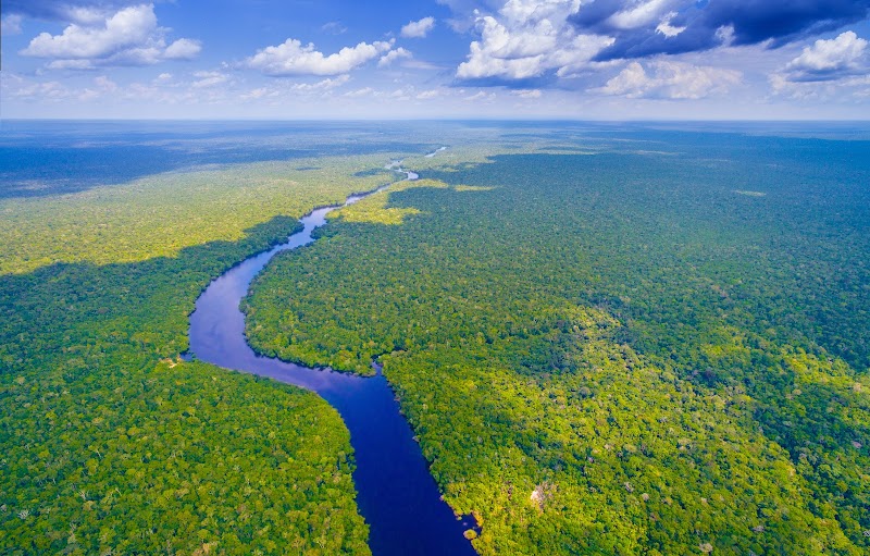 Wonders of the Amazon Rainforest - Amazon Rainforest