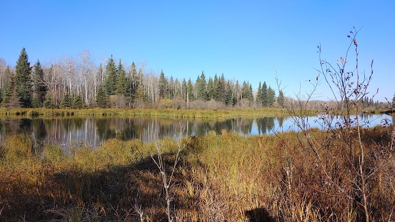 Nature's Retreat: Hudson Bay in Saskatchewan - Hudson Bay