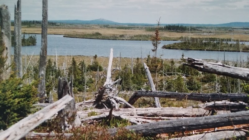 Wilderness Paradise: Bay Du Nord - Bay Du Nord Wilderness Reserve