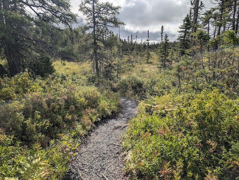 Discovering the Wild Beauty of Ochre Hill Trail - Ochre Hill Trail