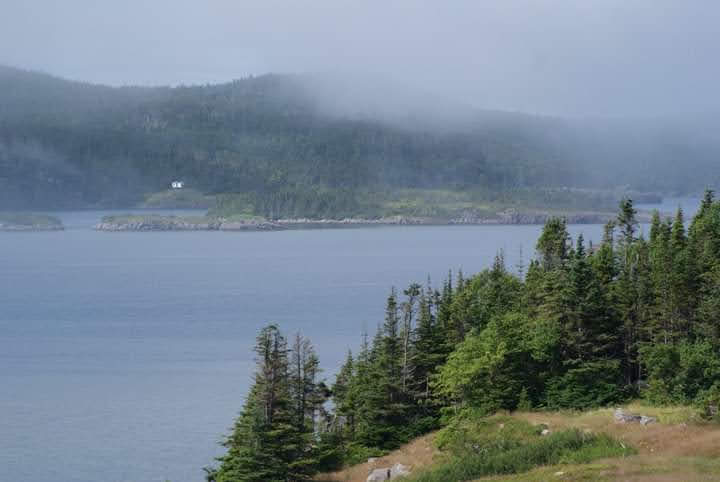 Nature’s Canvas: Traytown Hill - Traytown Hill